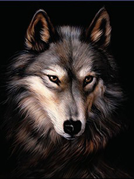 30x40cm 3d wolf image lenticular picture for decoration