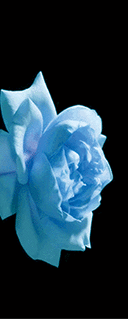 3D Lenticular Bookmark with animation effect