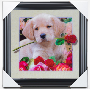 Wholesale 40x40cm animal 5d lenticular pictures with frame