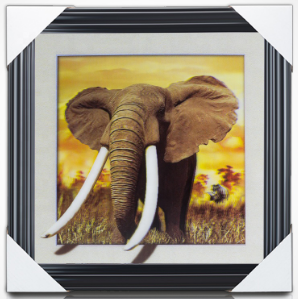 elephant 5d lenticular picture with frame HOT SALE !