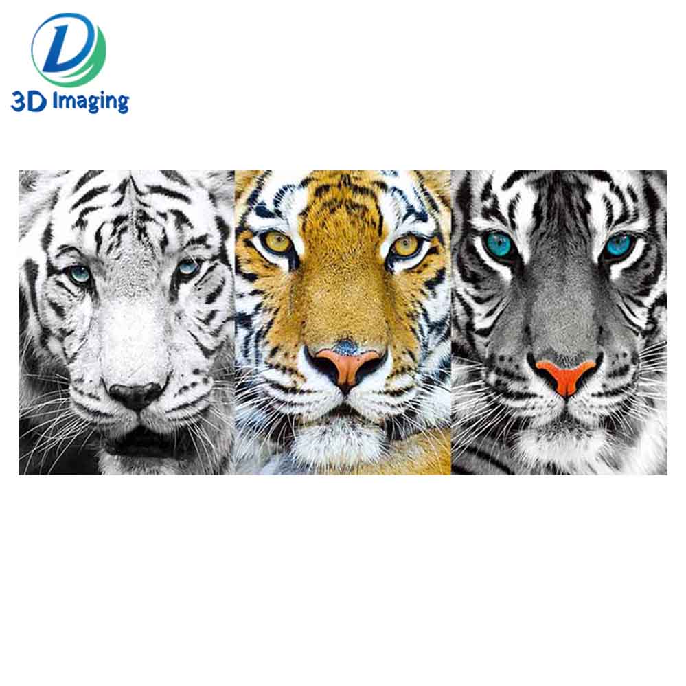 Wholesale 3d flip lenticular picture