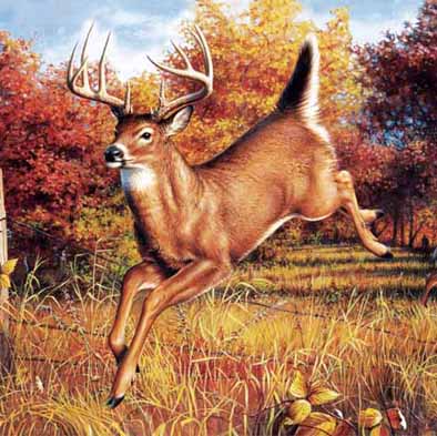 Best selling 3d lenticular picture lamination 3d poster printing