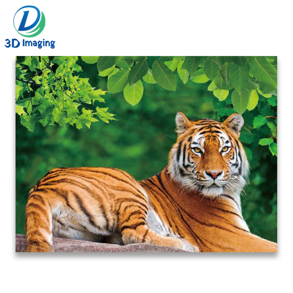 Retail and Wholesale high definition 3d picture/PET plastic 3d lenticular home deco picture