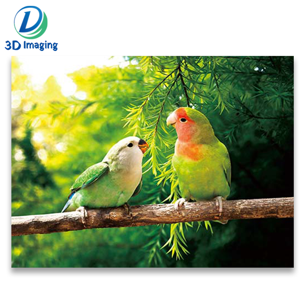 wall hanging pictures 3d lovely bird 3d lenticular picture for home decor from craft supplies