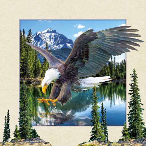 High quality 5d picture with Animal Eagle 3D lenticular picture for decoration