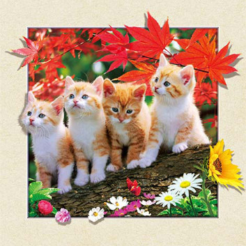 5d lenticular printing for home decoration 3d picture of cat lenticular picture