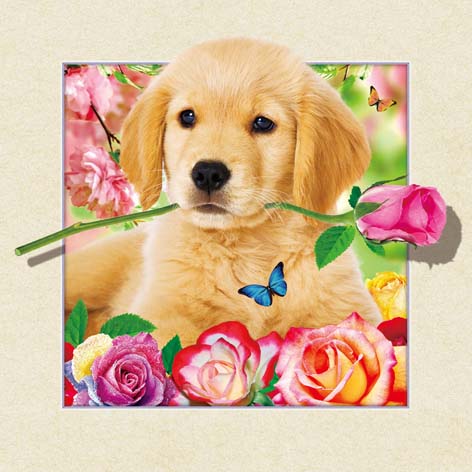 High quality 3d picture of dog and rose lenticular 5D picture