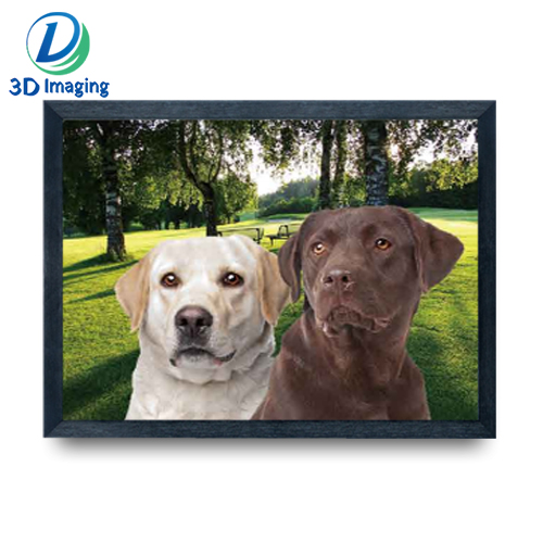 3D lenticular pictures Puppy dog with Frame 3d advertising poster