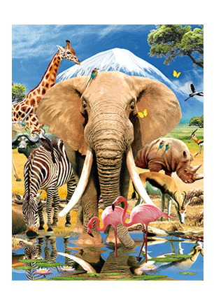 elephant.jpg