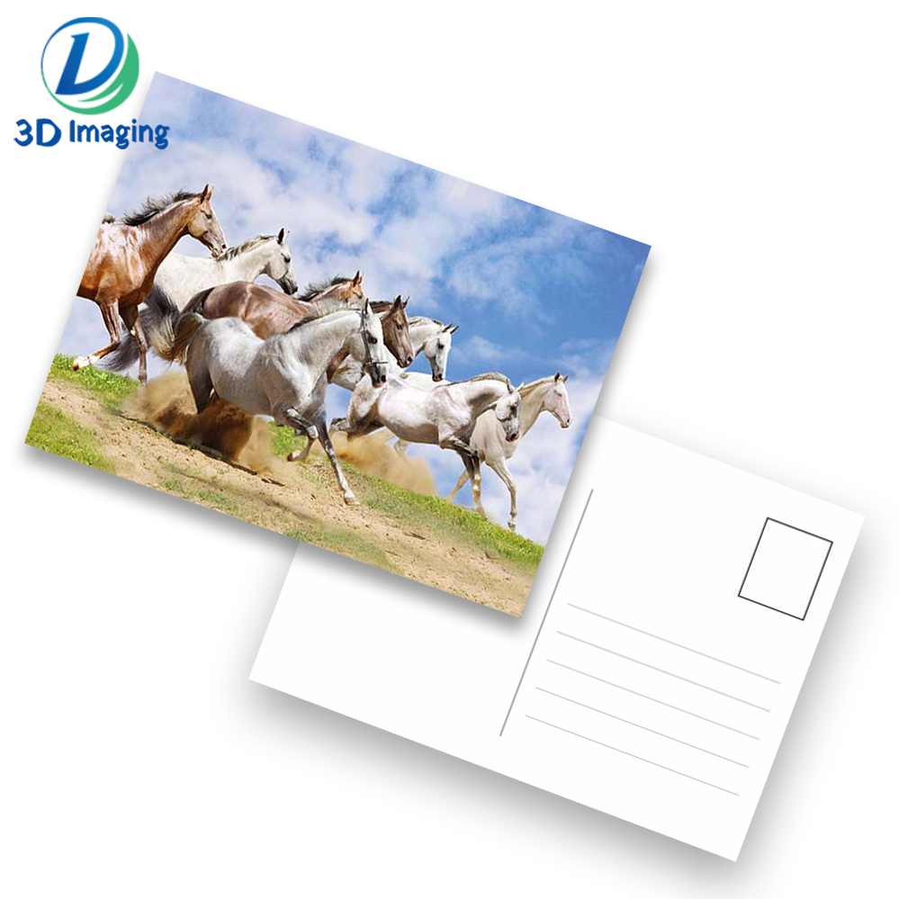 horse postcard 3.jpg