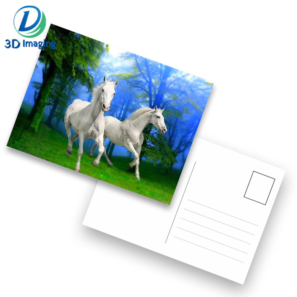 horse postcard 1.jpg