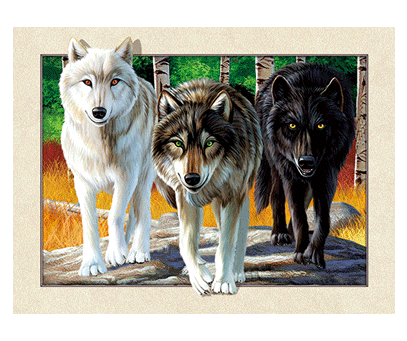wolf 1.jpg