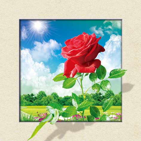 5D070.jpg