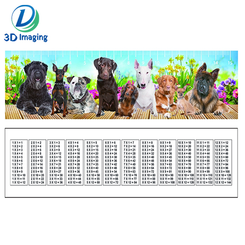 3d ruler 2.jpg