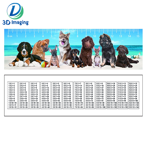 3d ruler 1.jpg
