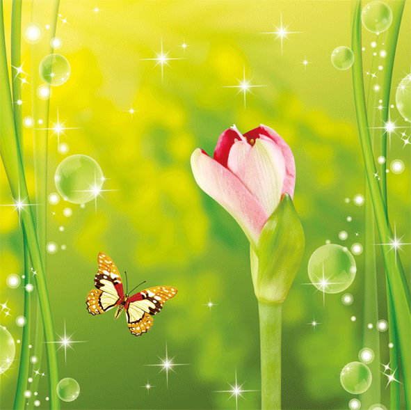animation effect.gif