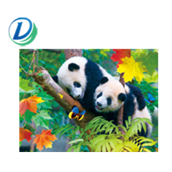 panda2.jpg